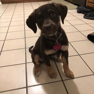 Meet your Posher, Stacy